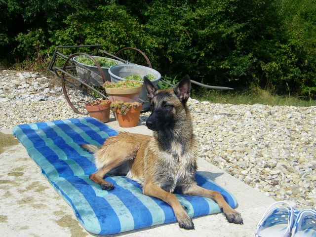 Era en mode starlette après un petit bain..