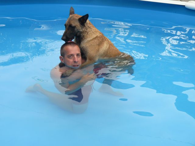 Nitro "aux bébés nageurs"...