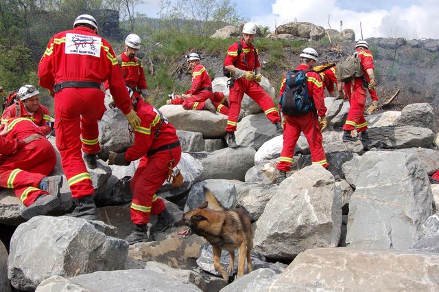 exercice commun équipiers SD et cyno