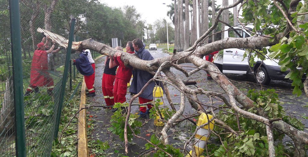 Mission Cyclone IRMA Communiqué de Presse 19 Sept. 2017