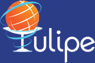 tulipe