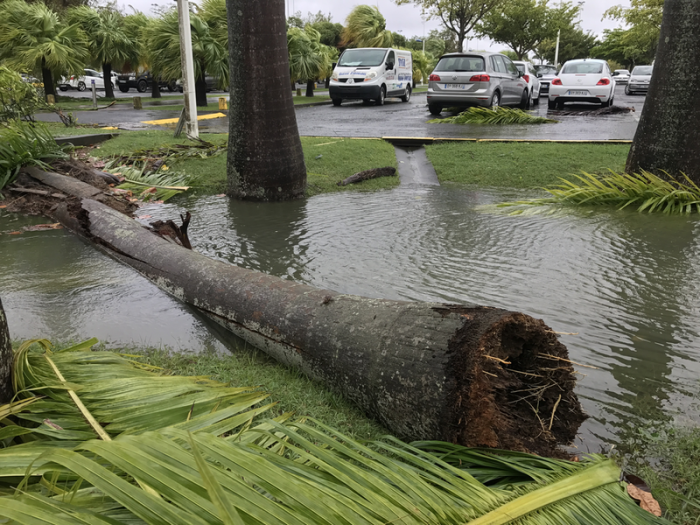 Mission Cyclone IRMA : Communiqué de Presse 19 Sept. 2017
